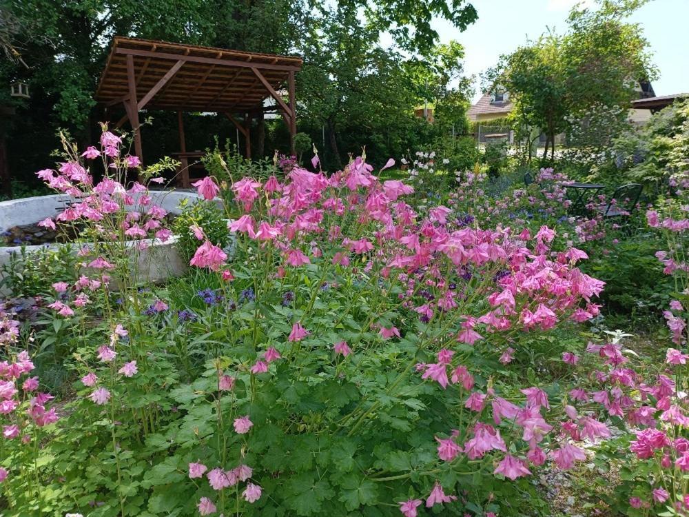 Ubytovani Pod Jilmem Zar ภายนอก รูปภาพ